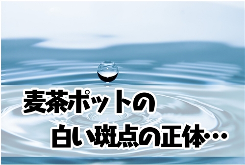 コレクション 水筒 白い斑点 クエン酸