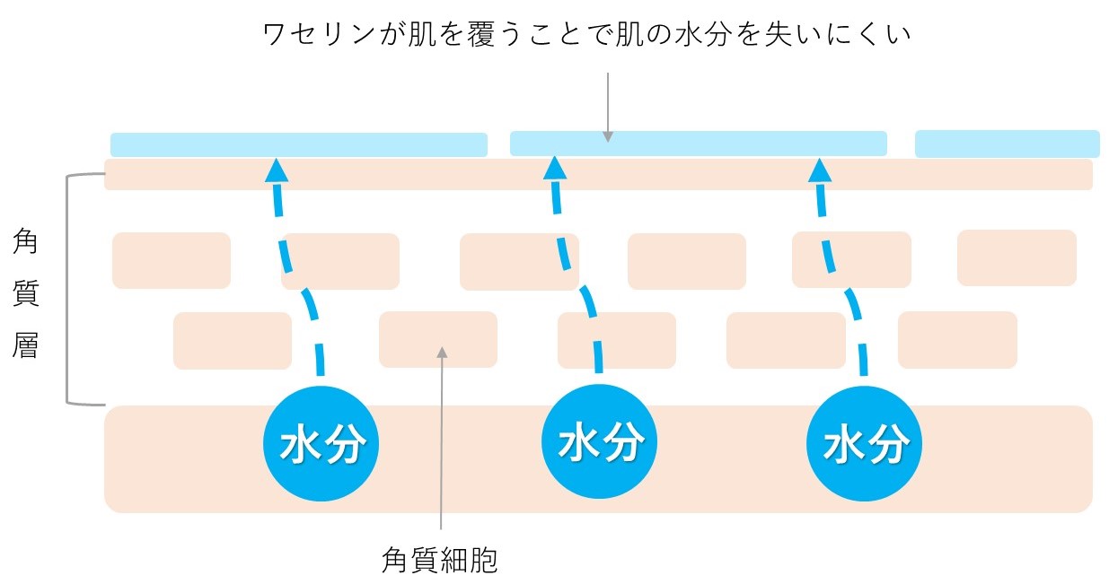 ワセリンおすすめの使い方 肌荒れ対策 顔に塗る時の注意